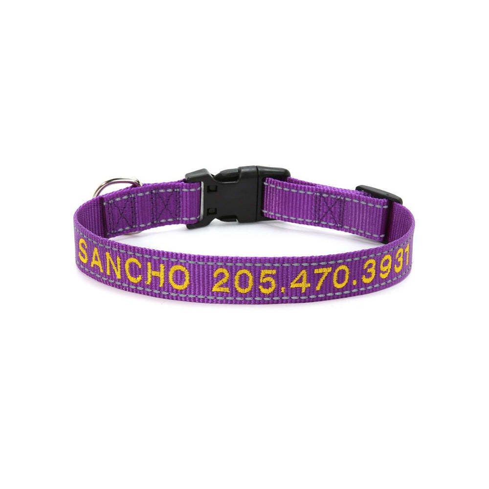 Personalized Dog Collar with visibility at night for safety gift for pet lovers!