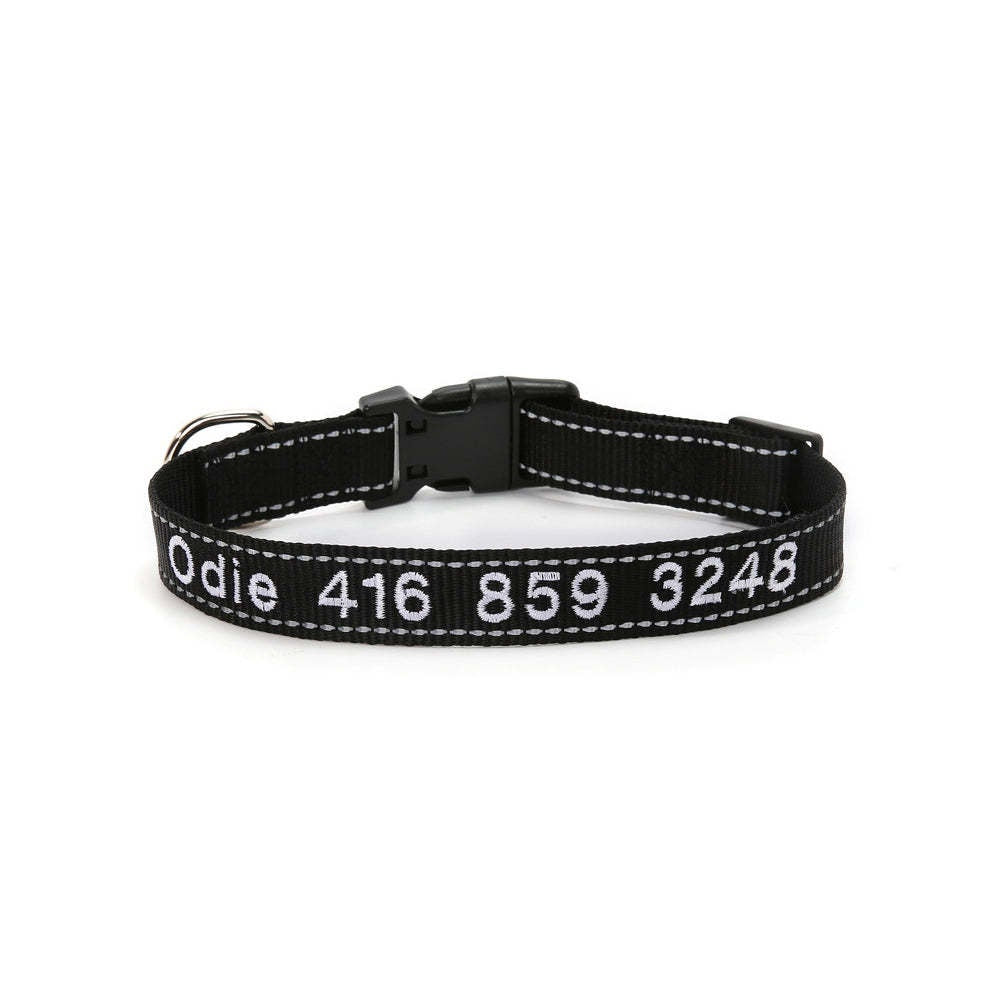 Personalized Dog Collar with visibility at night for safety gift for pet lovers!