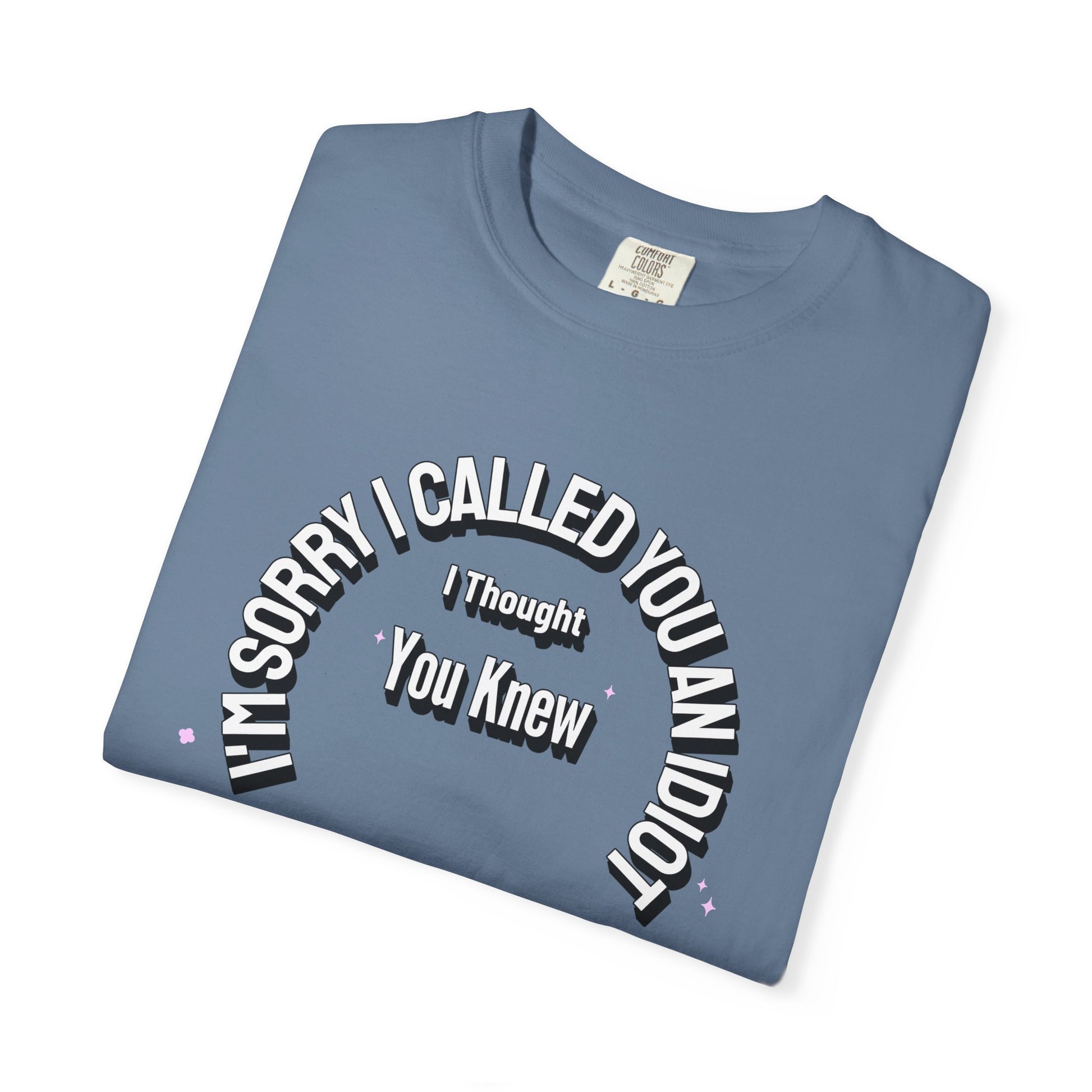 Funny Quirky T-Shirt "I'm Sorry I called you an Idiot I thought you Knew", Funny Quirky T-Shirt for Casual Days, Gifts for Friends, Birthday Humor Tee, Relaxed Fit Shirt, Unisex Graphic Tee