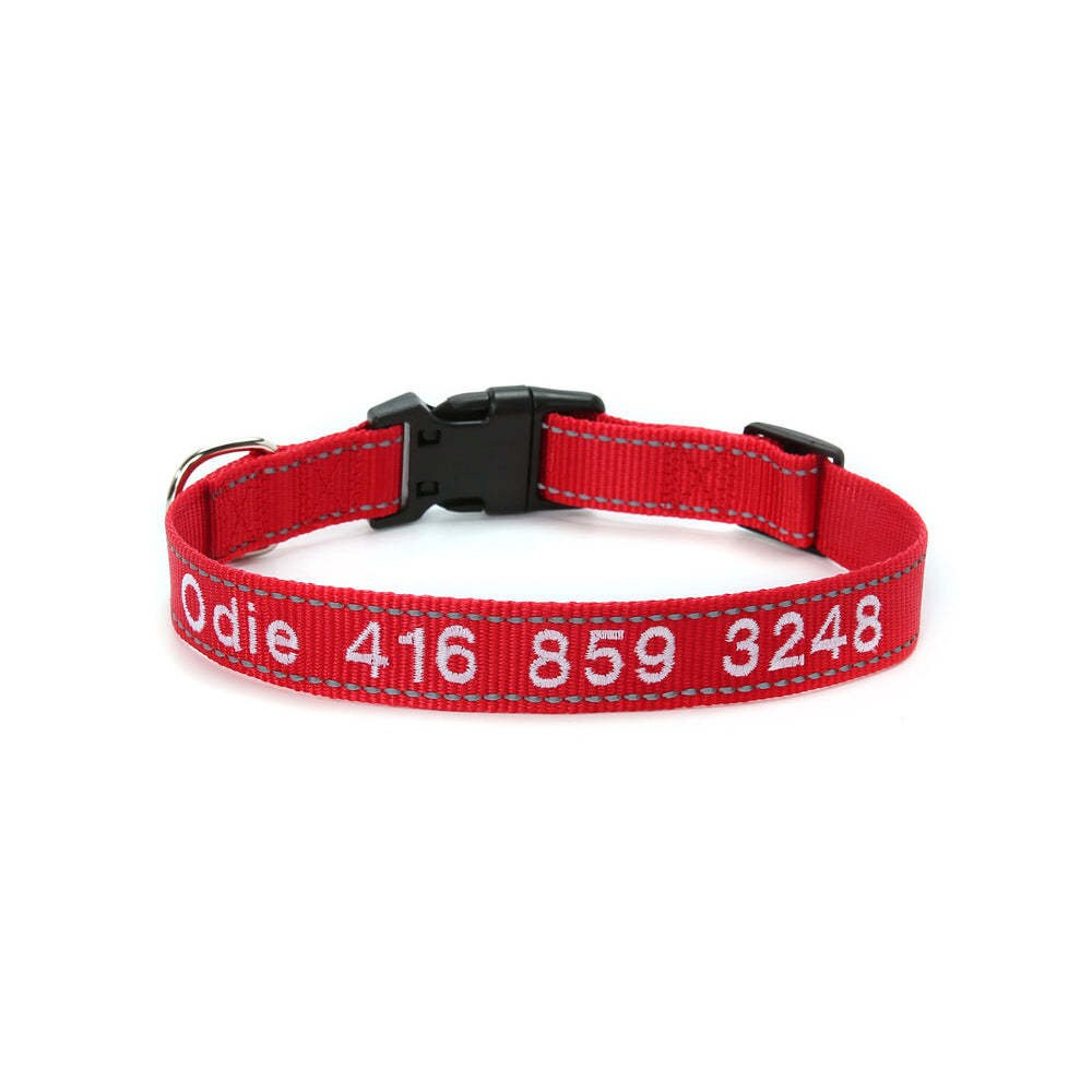 Personalized Dog Collar with visibility at night for safety gift for pet lovers!