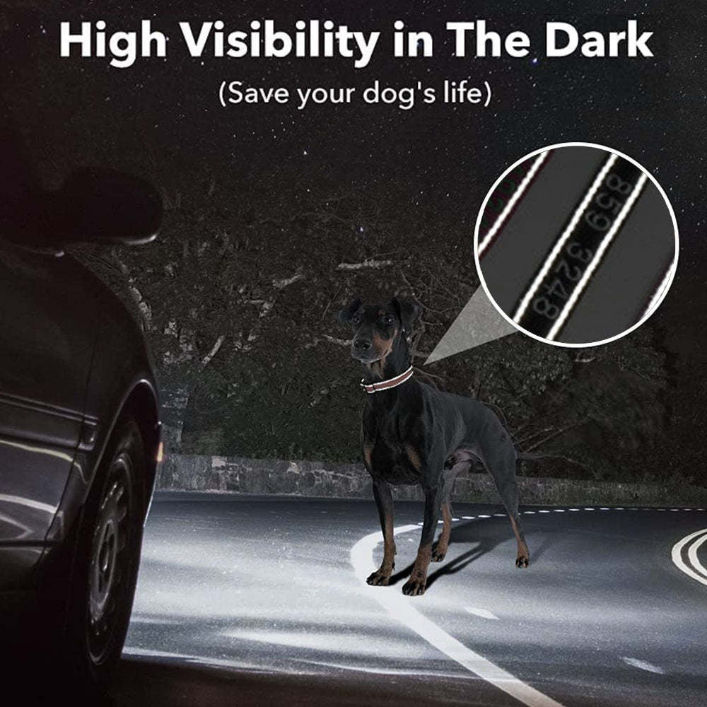 Personalized Dog Collar with visibility at night for safety gift for pet lovers!