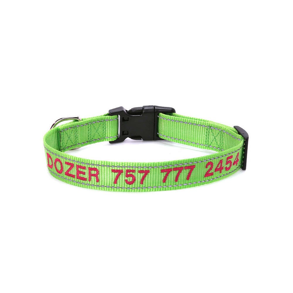Personalized Dog Collar with visibility at night for safety gift for pet lovers!